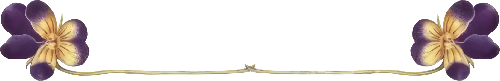 About Flowerbanner Banner