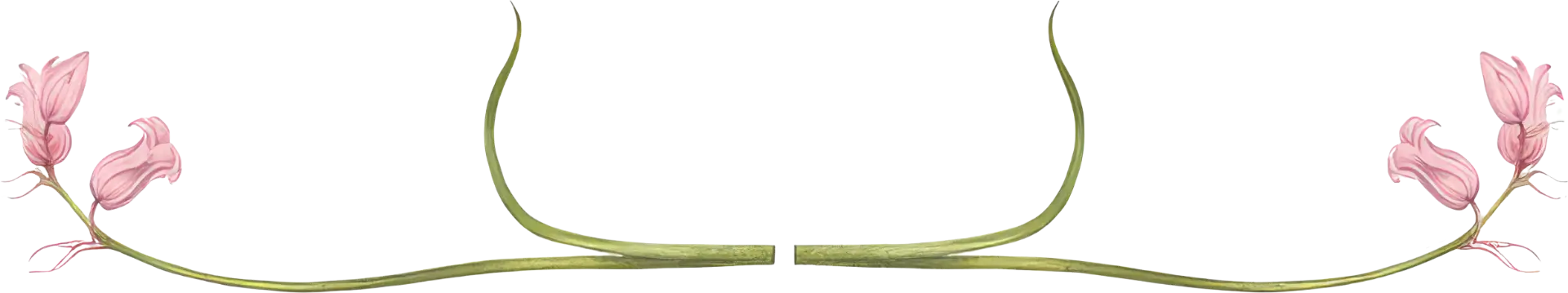 Artwork Flowerbanner Banner