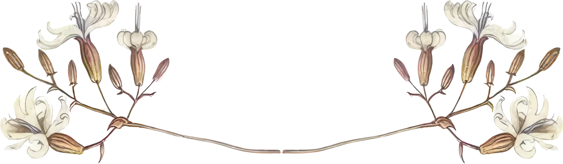 Blog Flowerbanner Banner