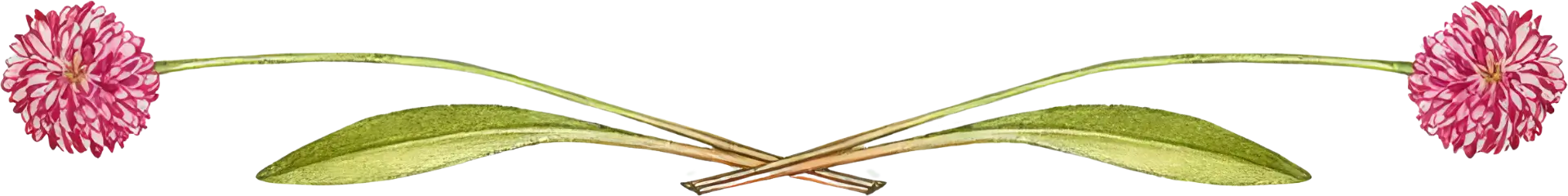 Store Flowerbanner Banner